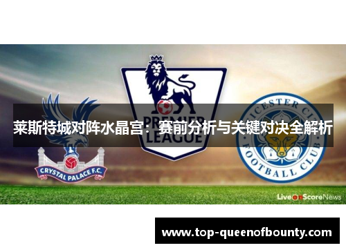 莱斯特城对阵水晶宫：赛前分析与关键对决全解析