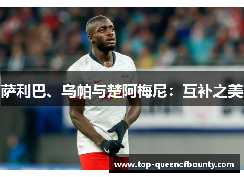 萨利巴、乌帕与楚阿梅尼：互补之美