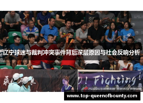 辽宁球迷与裁判冲突事件背后深层原因与社会反响分析