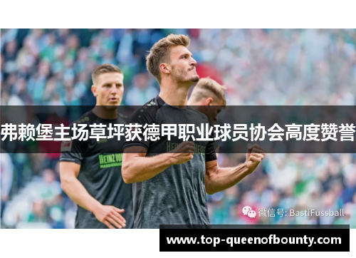 弗赖堡主场草坪获德甲职业球员协会高度赞誉